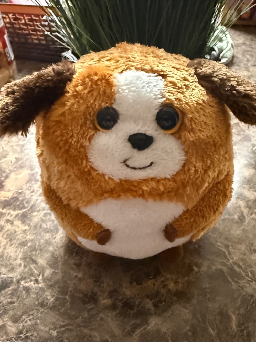 🏖️10 items for $20☀️ Ty beanie ballz Bandit the dog| no tags
